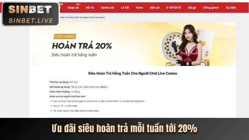 Hoàn trả hàng ngày